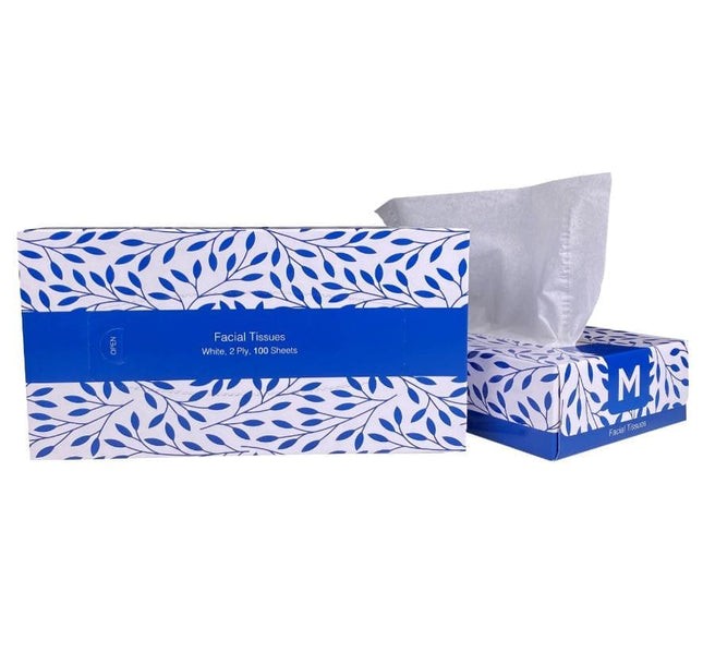 Flat Facial Tissues - White, 2 Ply, 100 Sheets/Pack, Carton of 48 Packs
